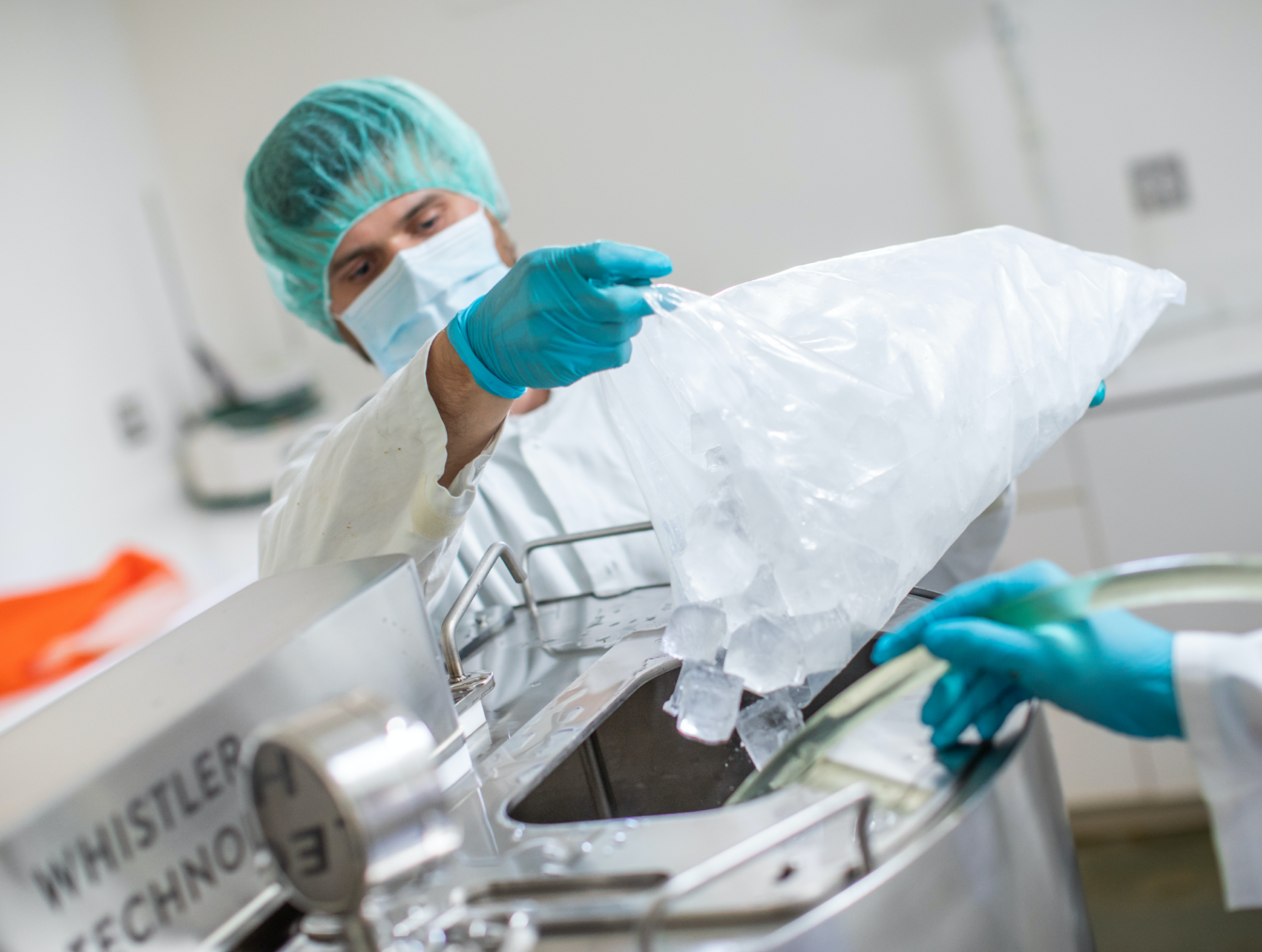 Lab technician pouring ice into commercial ice water extraction