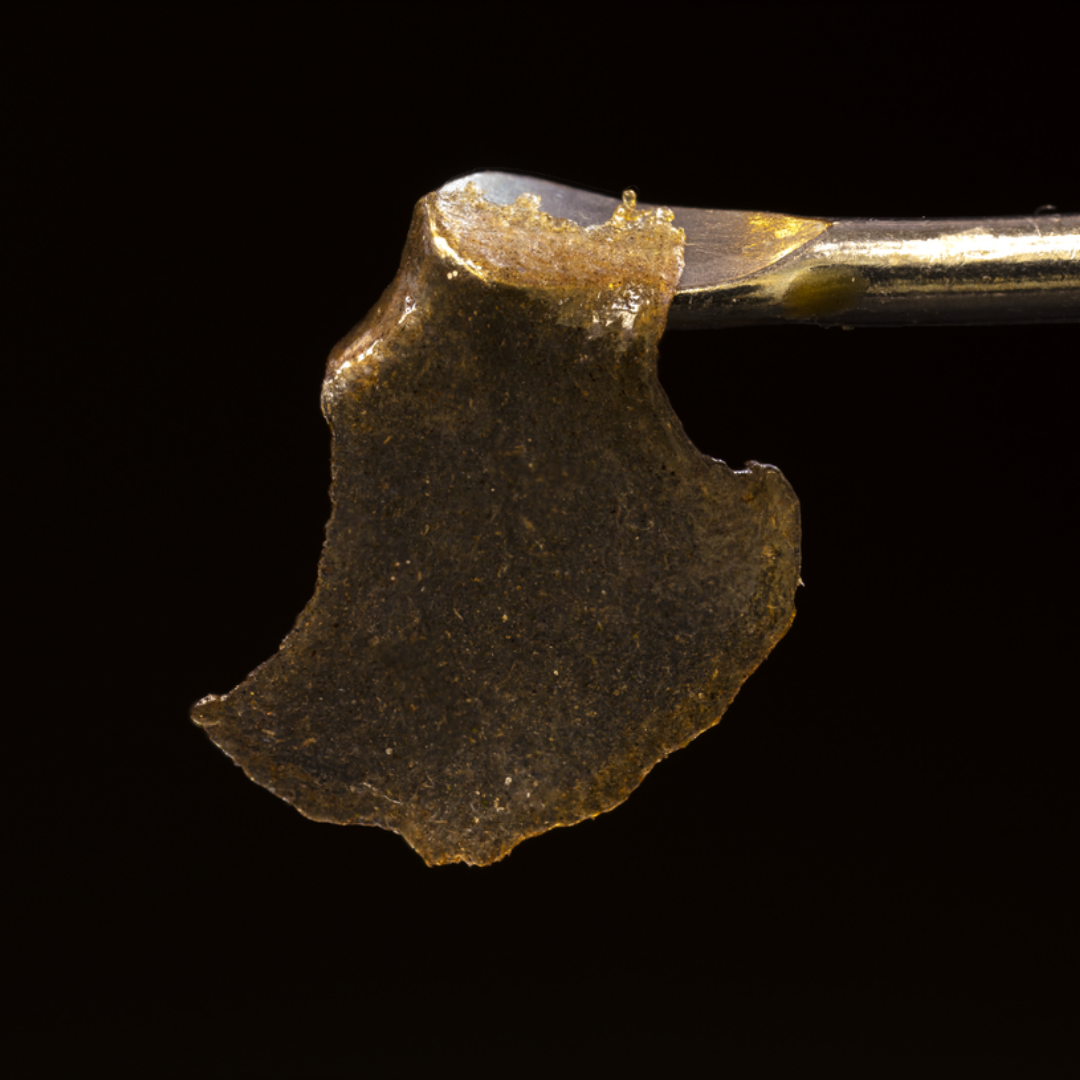 Venom OG Rosin from EarthWolf Farms on a dab tool