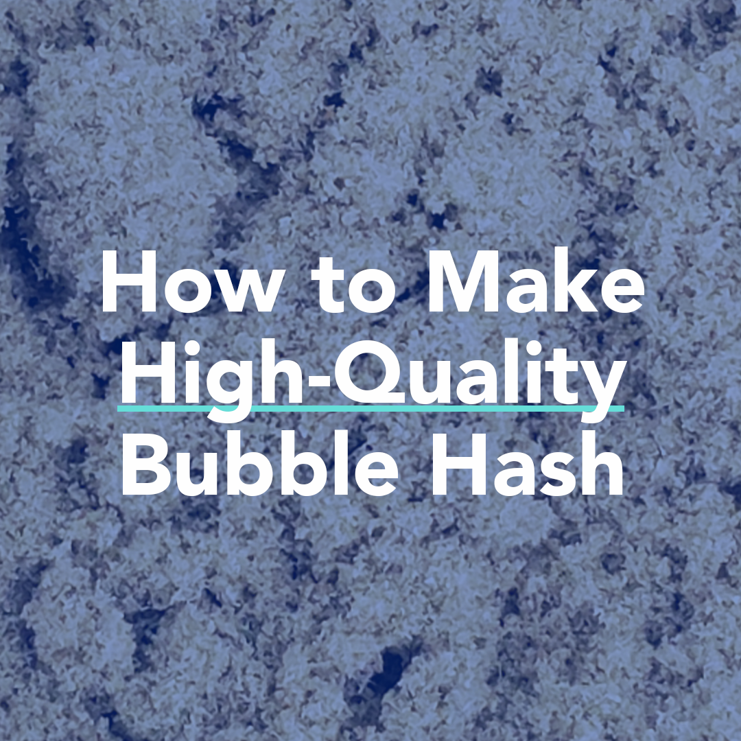 Dry hash with text overlay "how to make high-quality bubble hash".