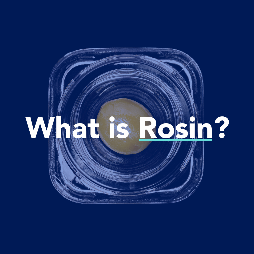 What is Rosin