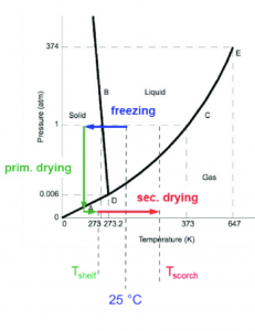 Freeze-Drying Hash Stages