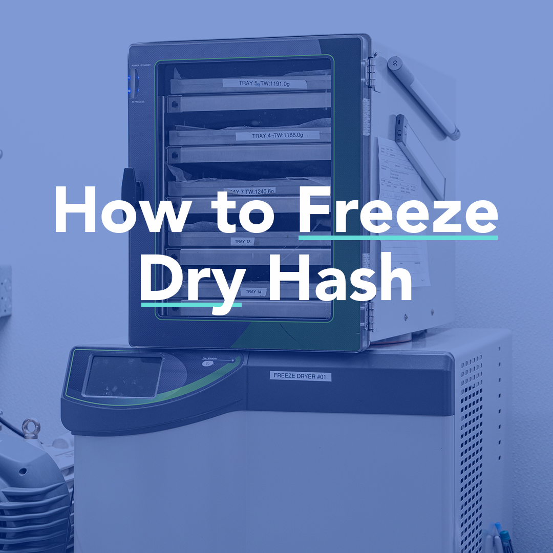 How to freeze-dry hash