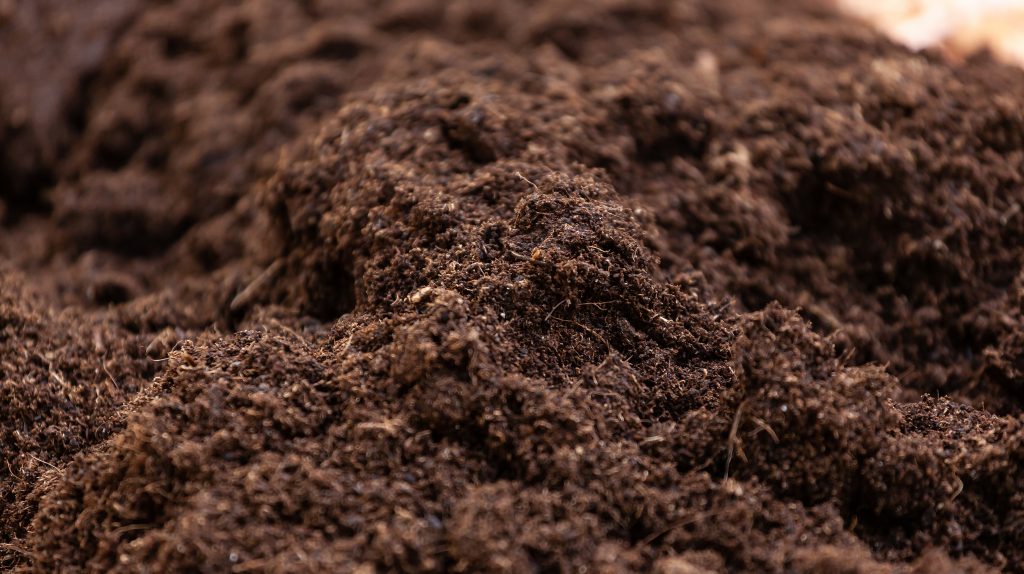 Organic potting soil