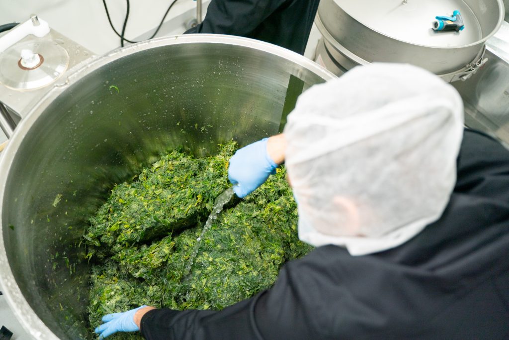 Fresh Frozen Cannabis in the Agitation Tank