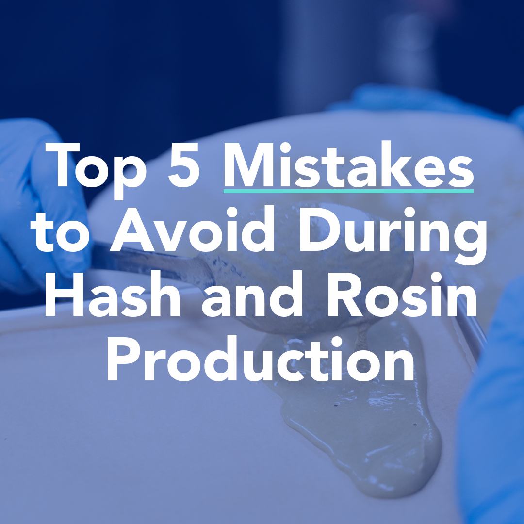 Common mistakes to avoid during hash and rosin production