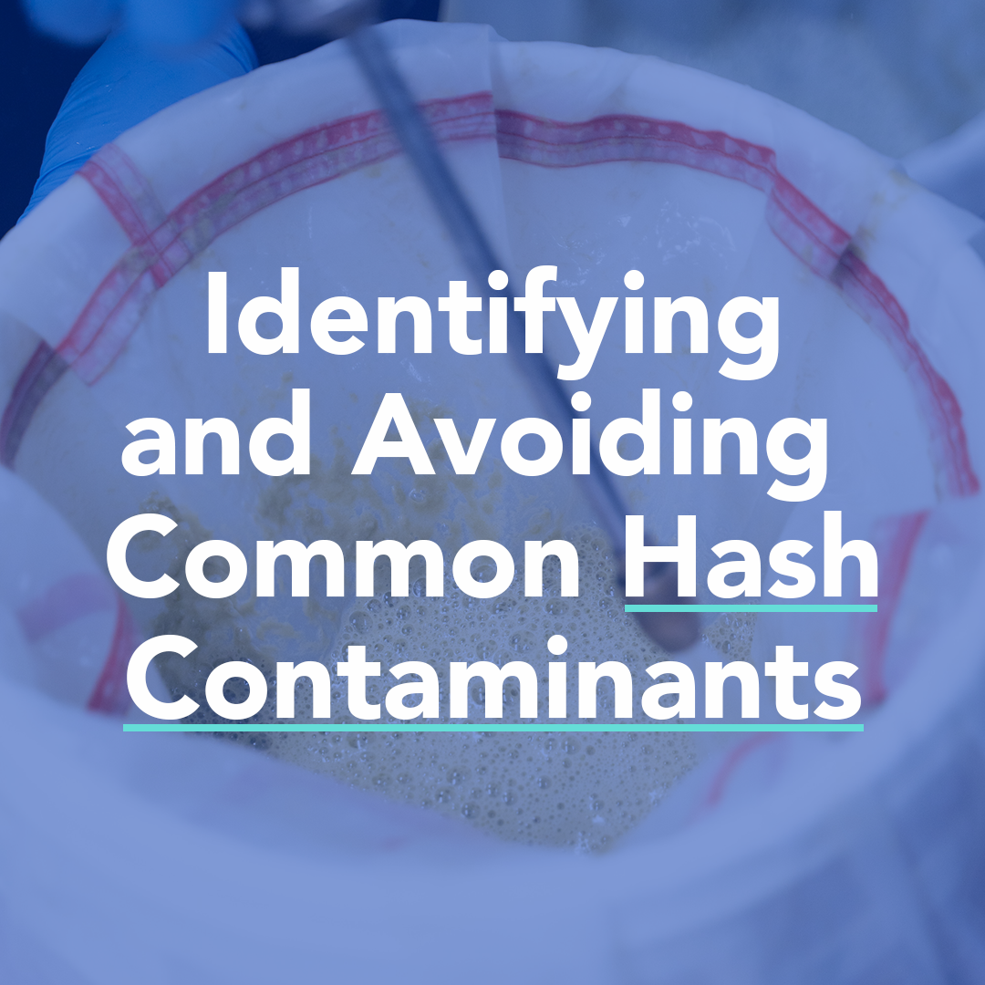 Guide to Common Hash Contaminants