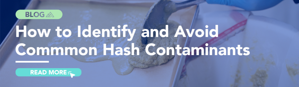 Feature Blog: How to Identify and Avoid Common Hash Contaminants